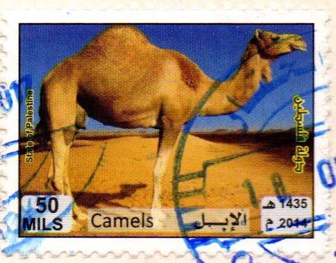 Gaza stamps - camel